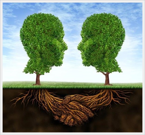 Psihoterapie individuala